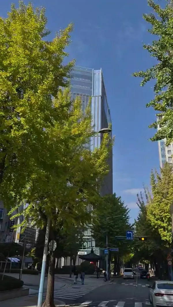 위라이드 서울전차 사진 5