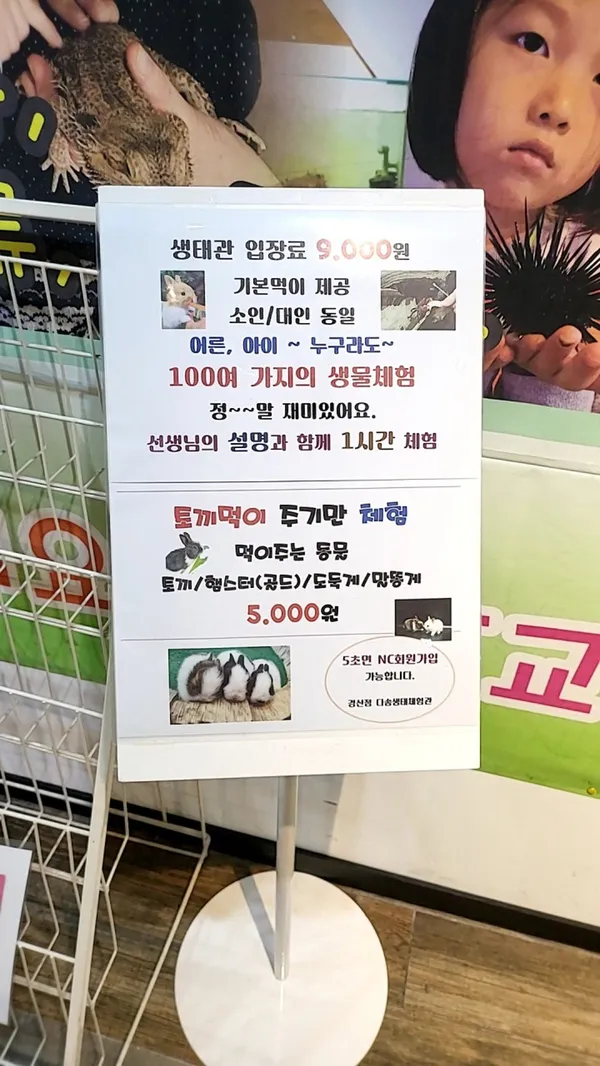 다솜생태체험관 NC경산점 사진 5