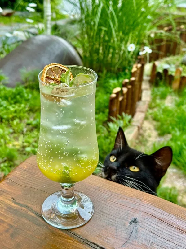 カムジャチャンゴ