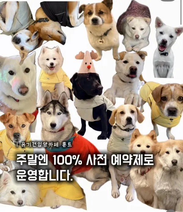 훈트 사진 5
