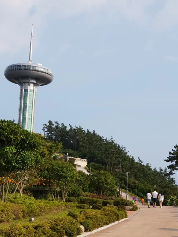 완도타워 사진 3