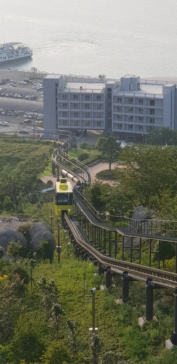 완도타워 사진 4