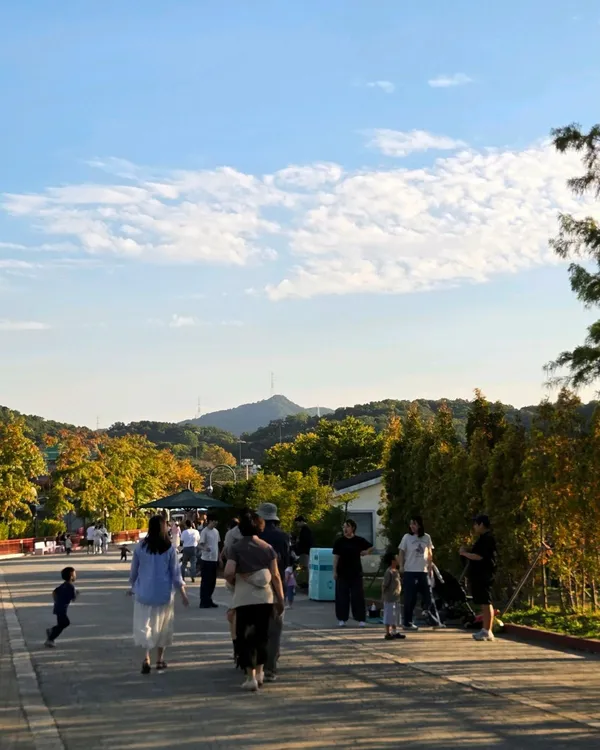 렛츠런파크 서울포니랜드 사진 5
