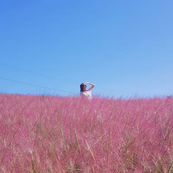 ホリンパークの写真3