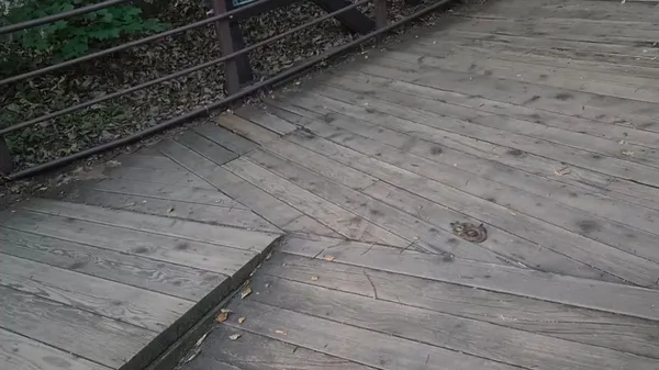 주왕산 사진 4
