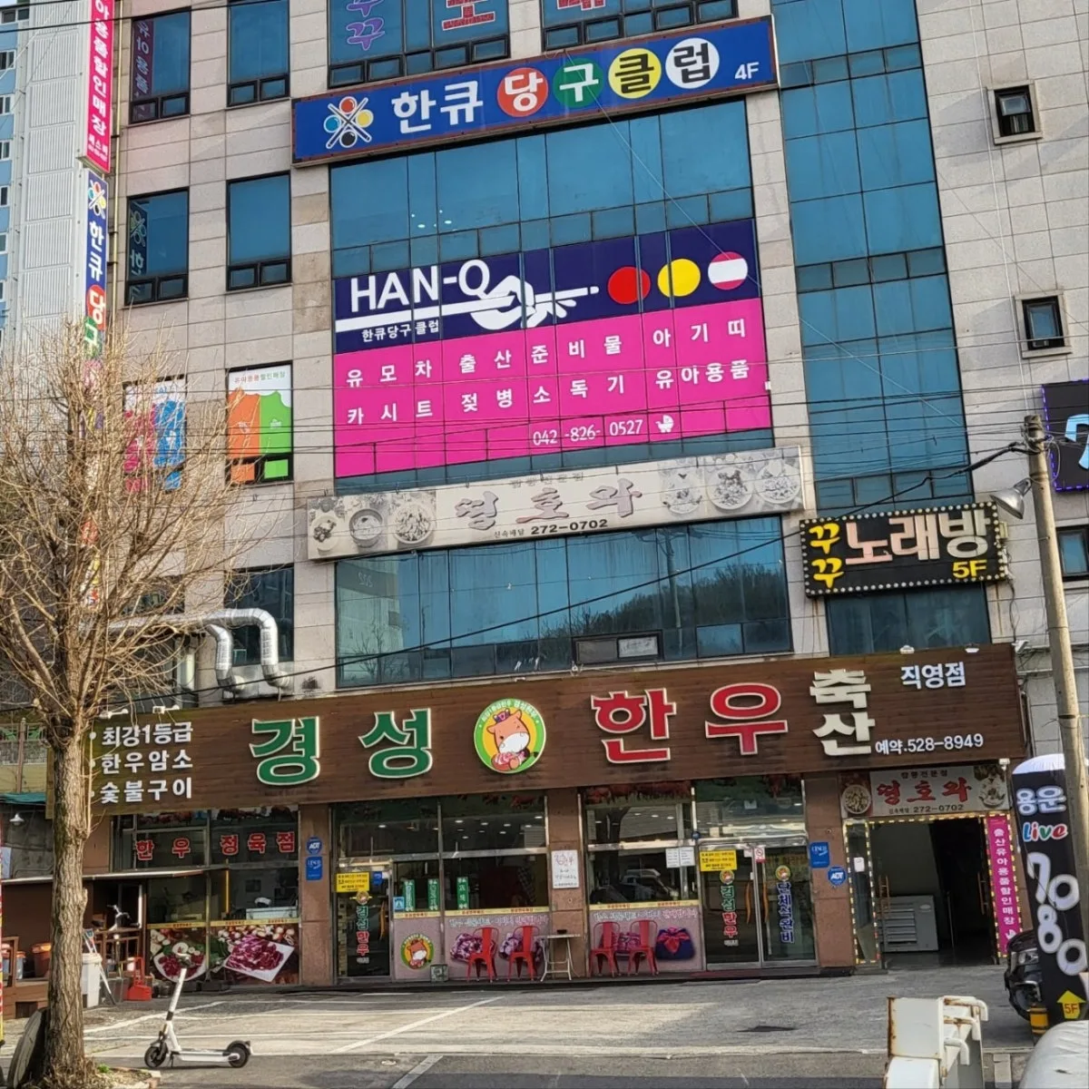 쎄스비 대표 사진