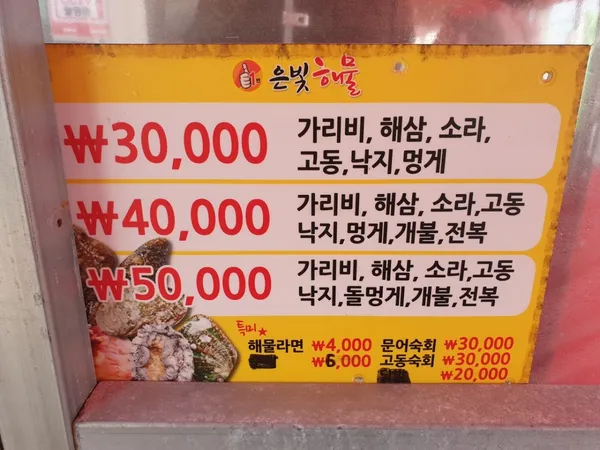 은빛해물 사진 4