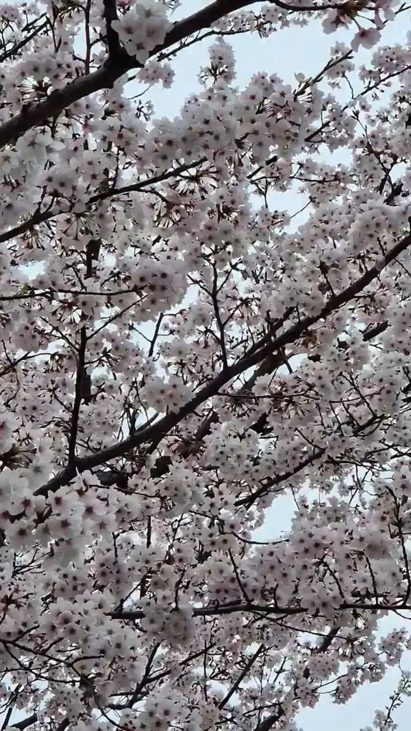 노산공원 사진 2