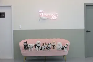 ペットビレッジ