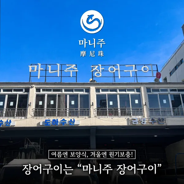 마니주 사진 4
