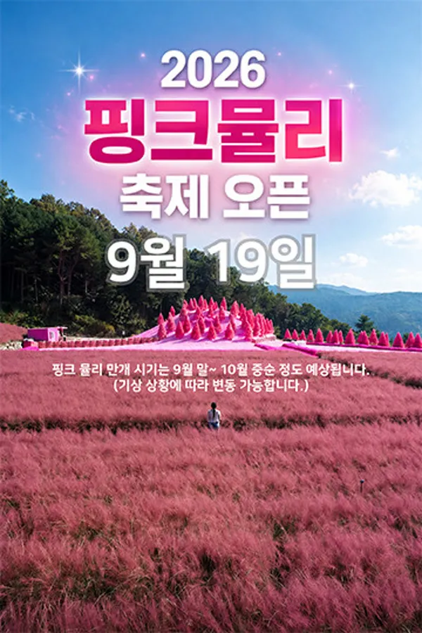 허브아일랜드 핑크뮬리축제 사진 4