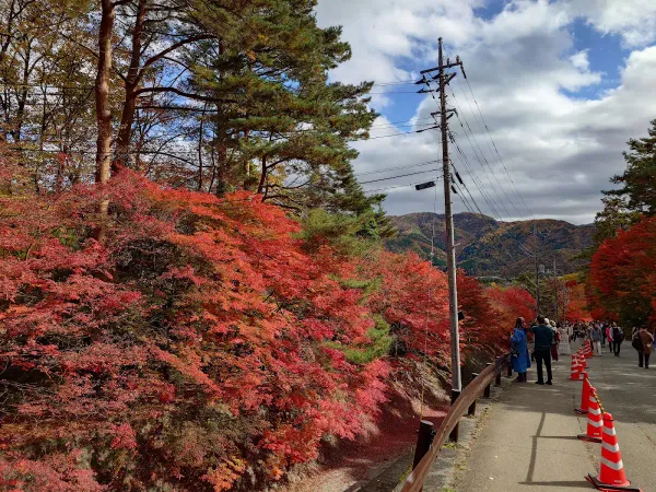 단풍회랑の写真4