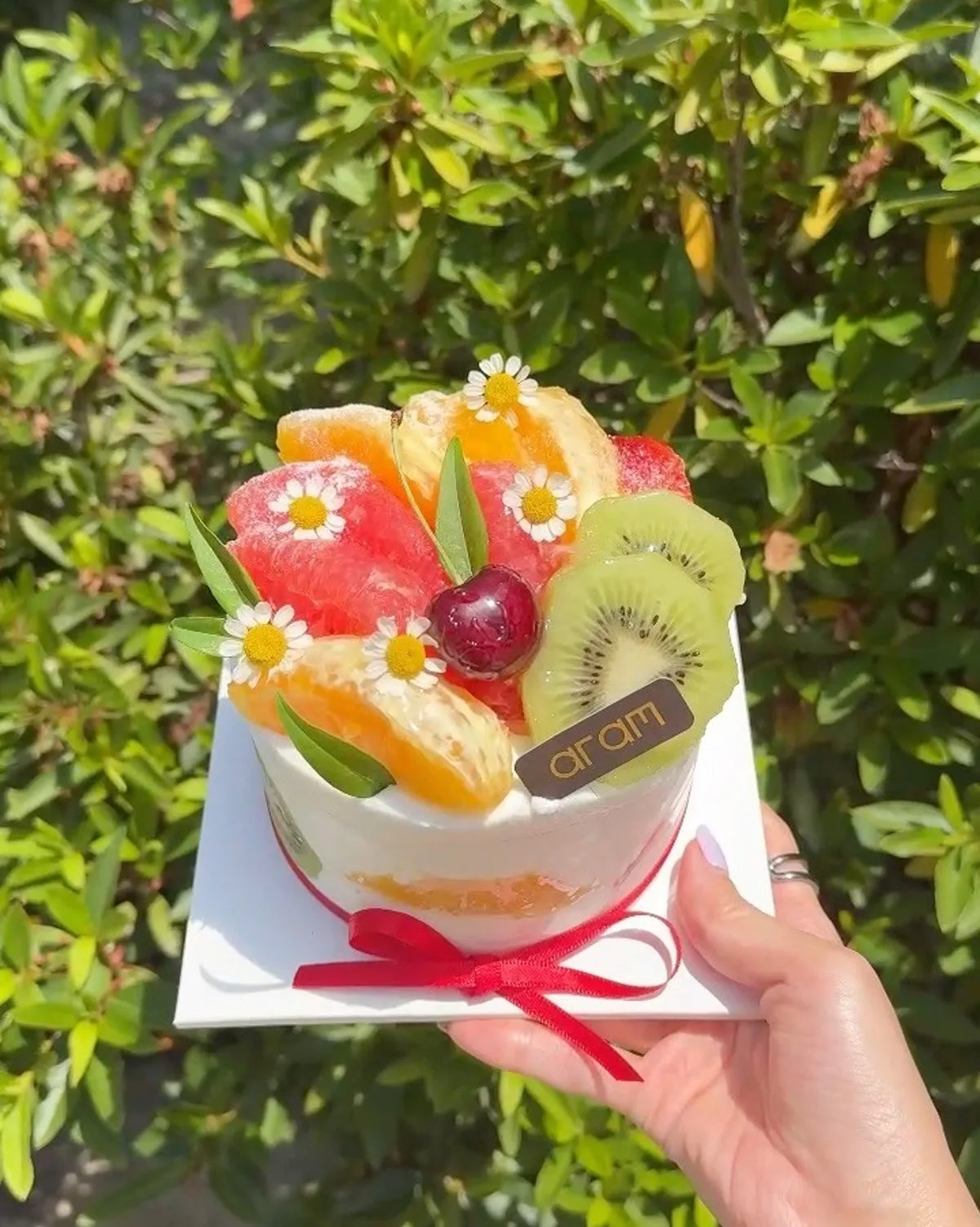 아람 대표 사진