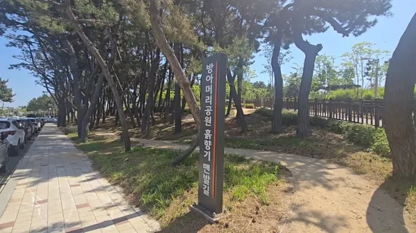 テブド公園の写真5