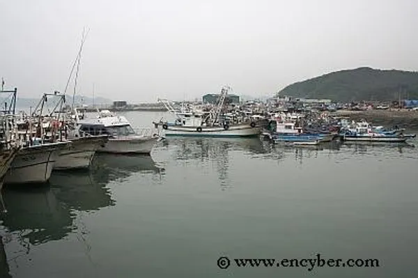 대천항 사진 4