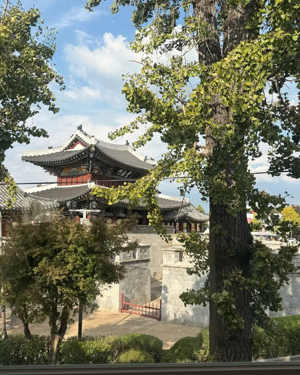 홈댄스 사진 2