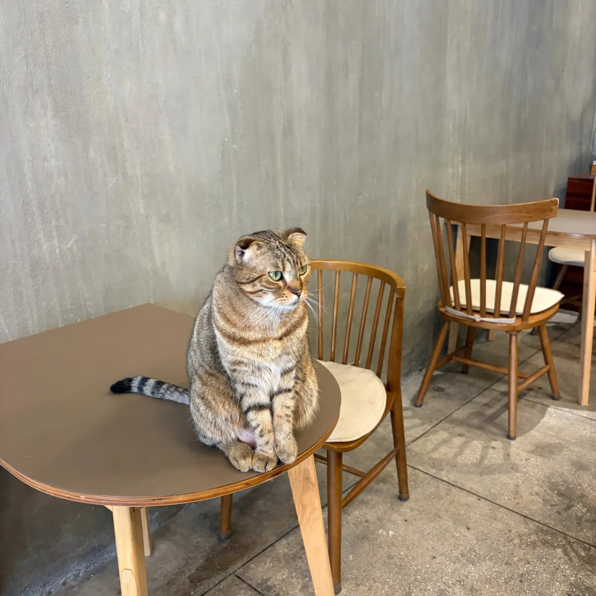 아님 대표 사진