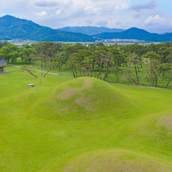 경주 오릉 사진 2
