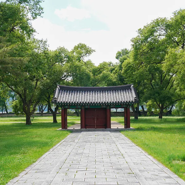 경주 오릉 사진 4