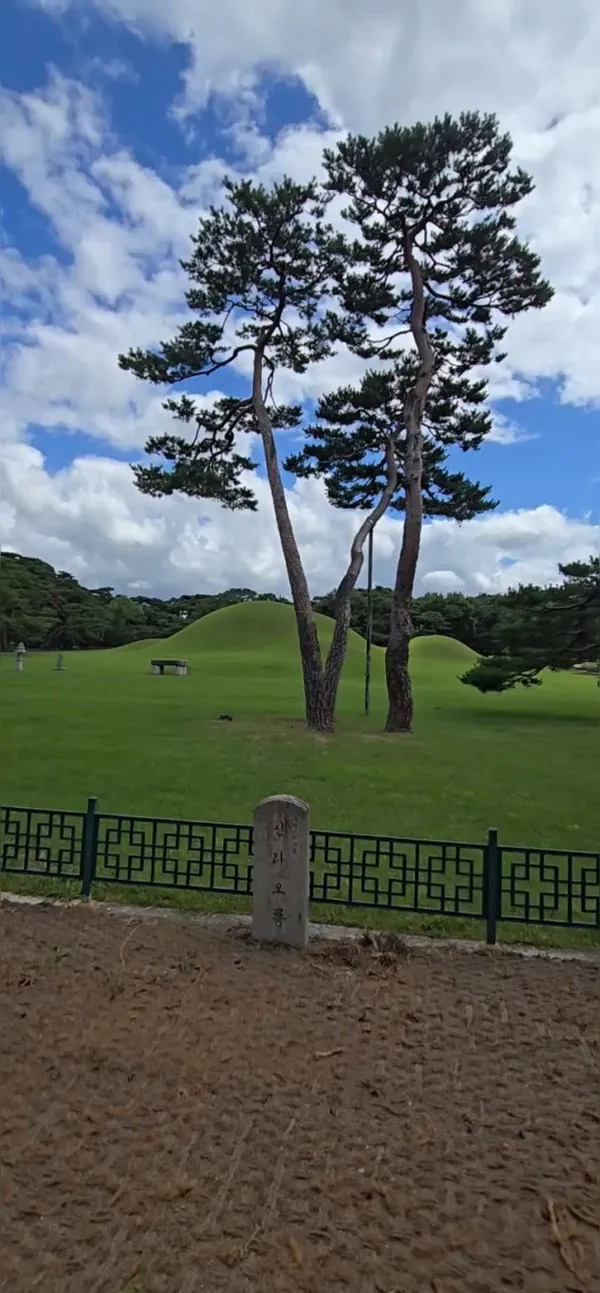 경주 오릉 사진 5