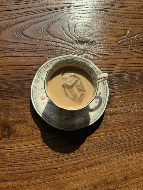 차하나 사진 5