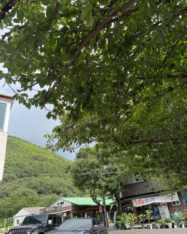 문수봉가든 사진 2