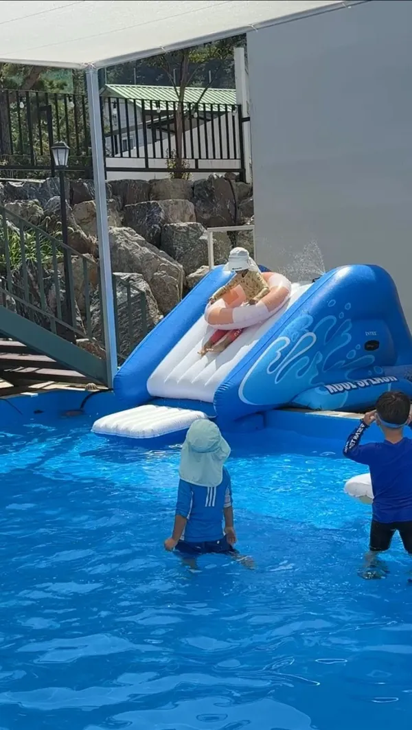 카페선암리 사진 5