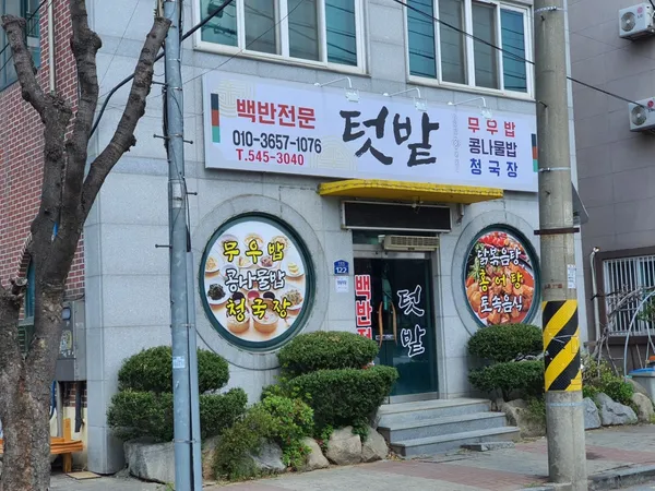 텃밭식당 사진 4