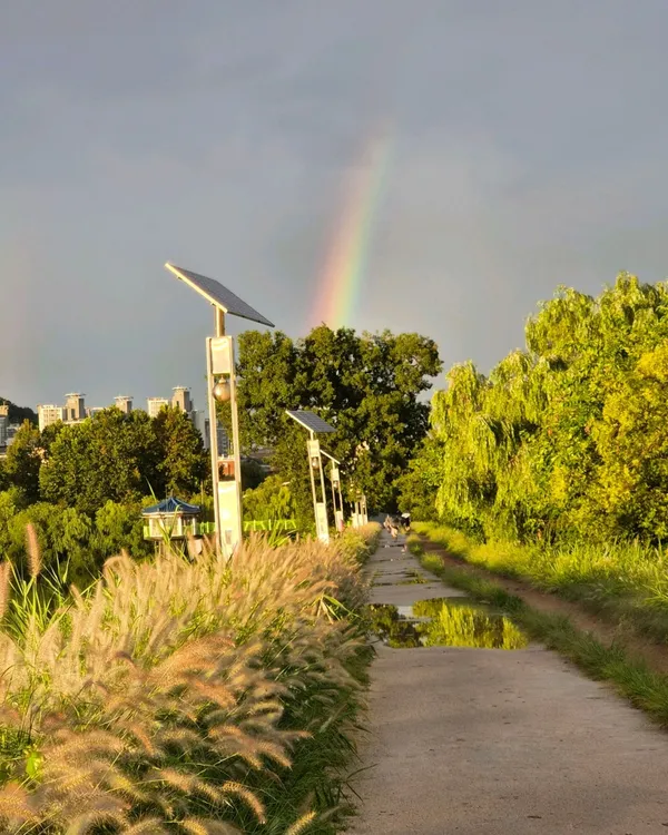 ソホ公園