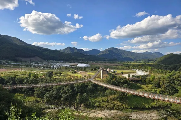 한탄강Y자출렁다리 사진 2