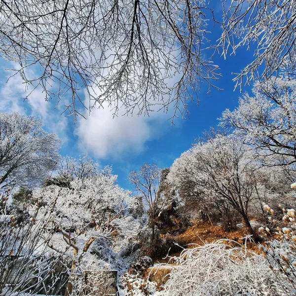 망우산 사진 2