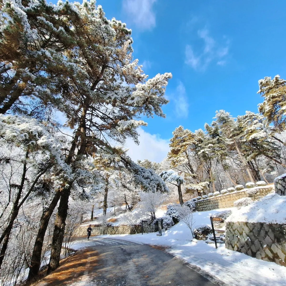 망우산 대표 사진