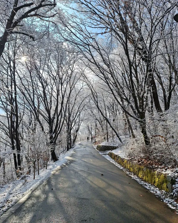 망우산 사진 3