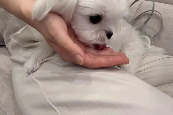 무형문화재 해현당 사진 2