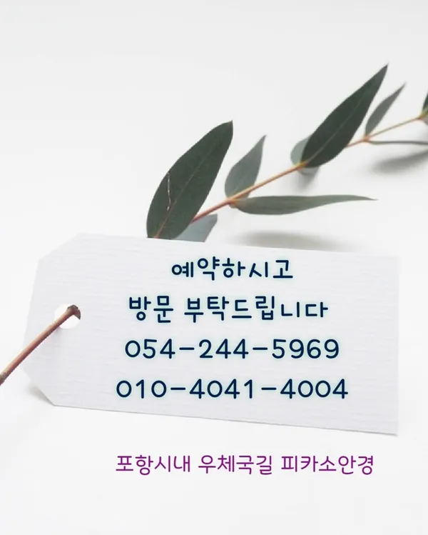 피카소안경 사진 5
