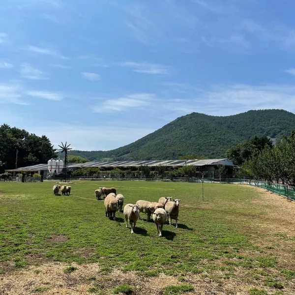 한우드림 동물체험장 사진 4