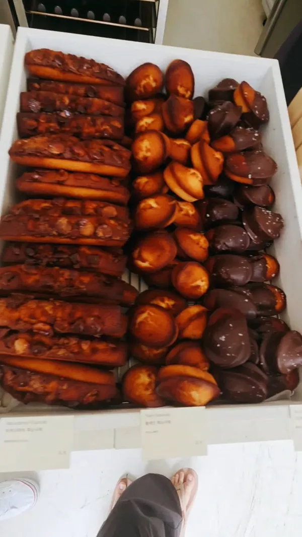 낮게나는새