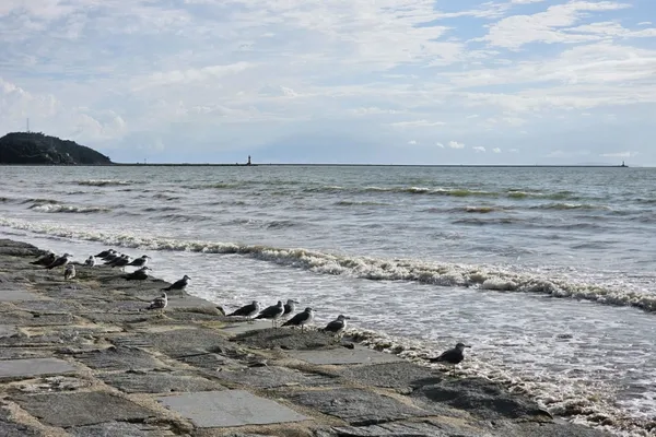 クシポ 海水浴場の写真3