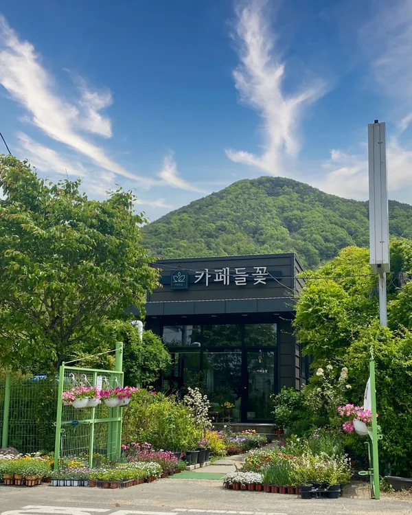 카페들꽃 사진 3