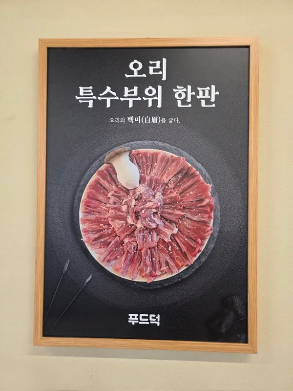 푸드덕 사진 5