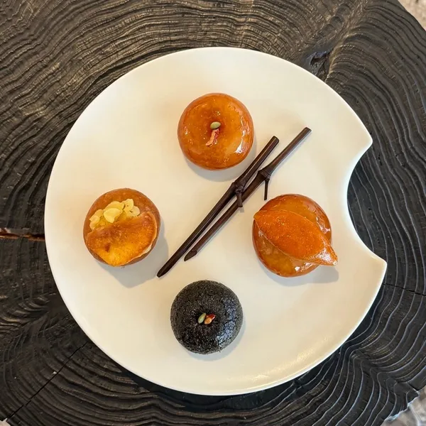 도요 사진 4