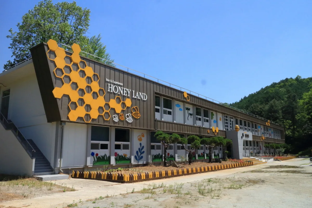 꿀벌랜드 대표 사진