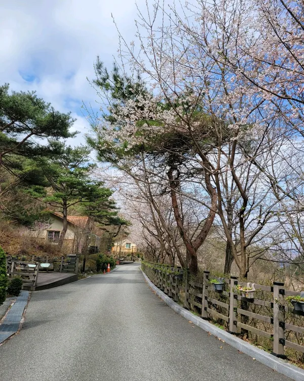 성불산자연휴양림숲속의집 사진 3