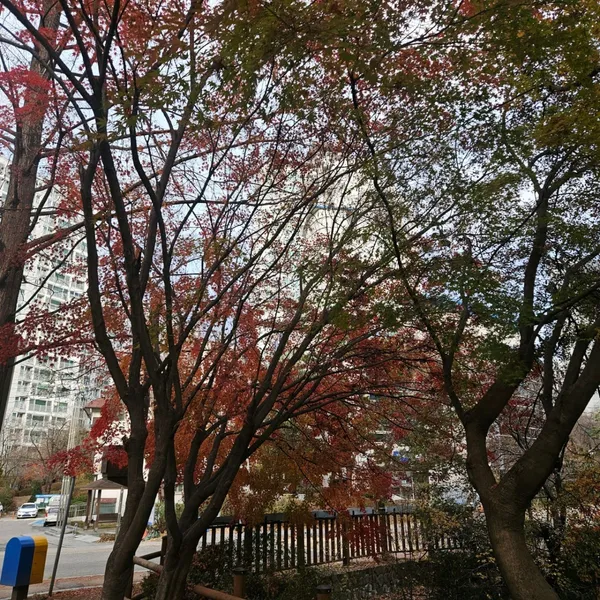 에어드리공원 사진 4