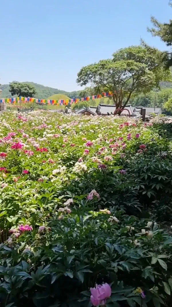 경주서악동삼층석탑 사진 2