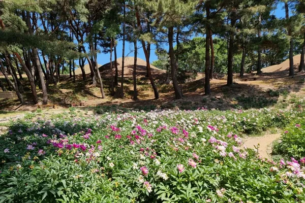 경주서악동삼층석탑 사진 3