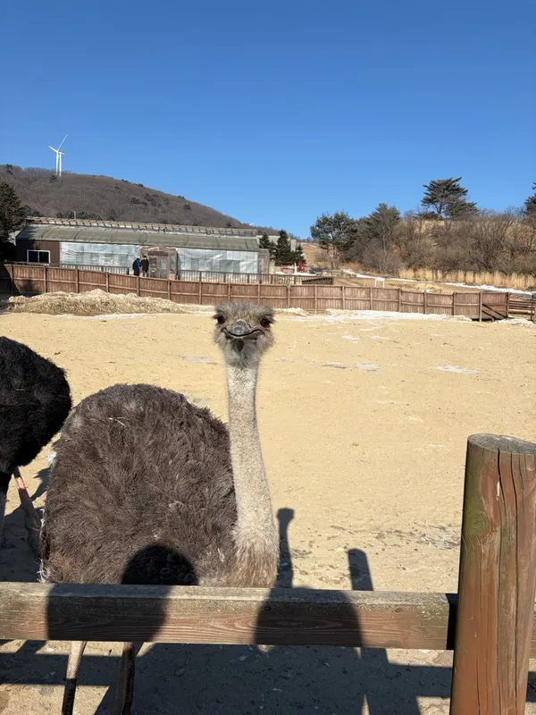 シゴルバプサンの写真3
