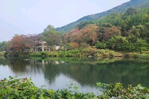 불장골저수지 사진 5