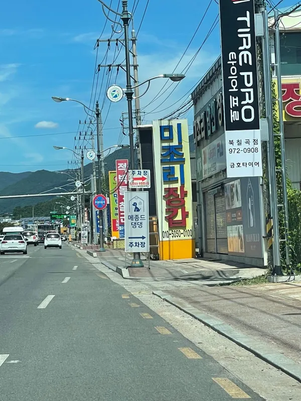 메종드댕댕 사진 4