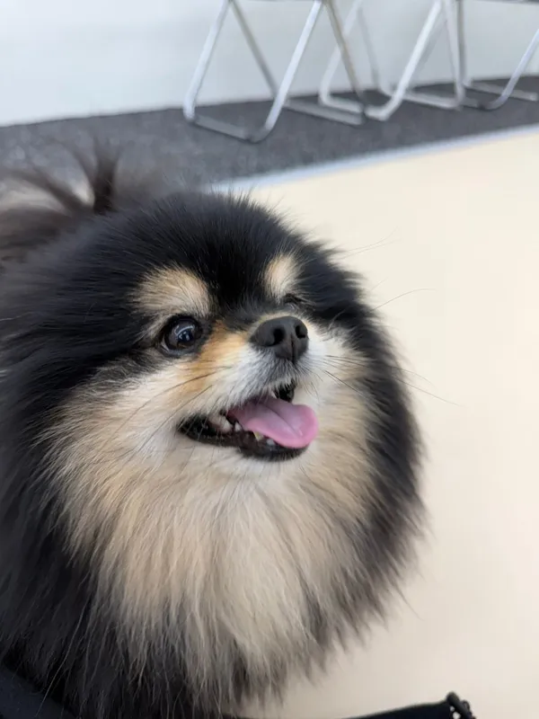 독스아일랜드 논현 사진 2